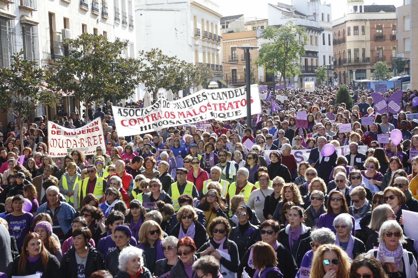 Marcha en Córdoba por el 25N, el Día contra la Violencia sobre la Mujer.