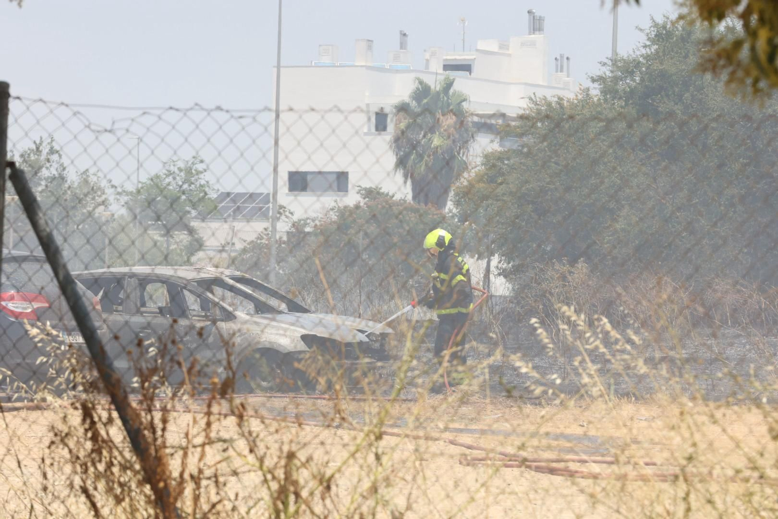 Incendio de pastos junto a la avenida de Espera en Jerez