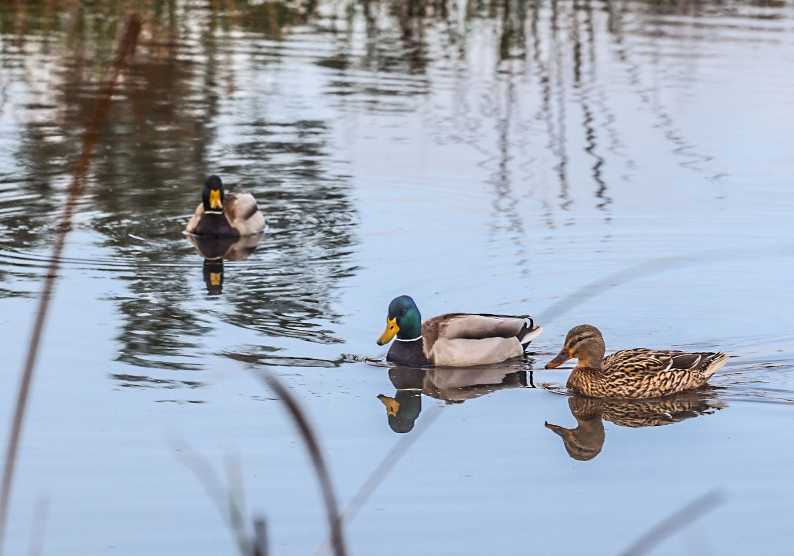 Fotografías de la celebración del Día Mundial de los Humedales