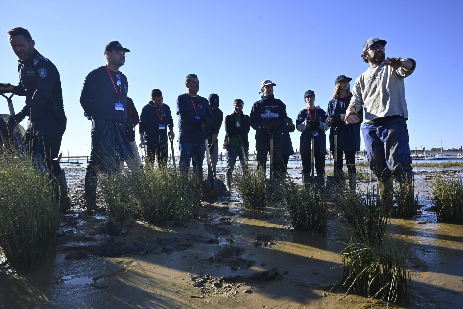 Plantación de la especie autóctona Espartina Marítima en imágenes