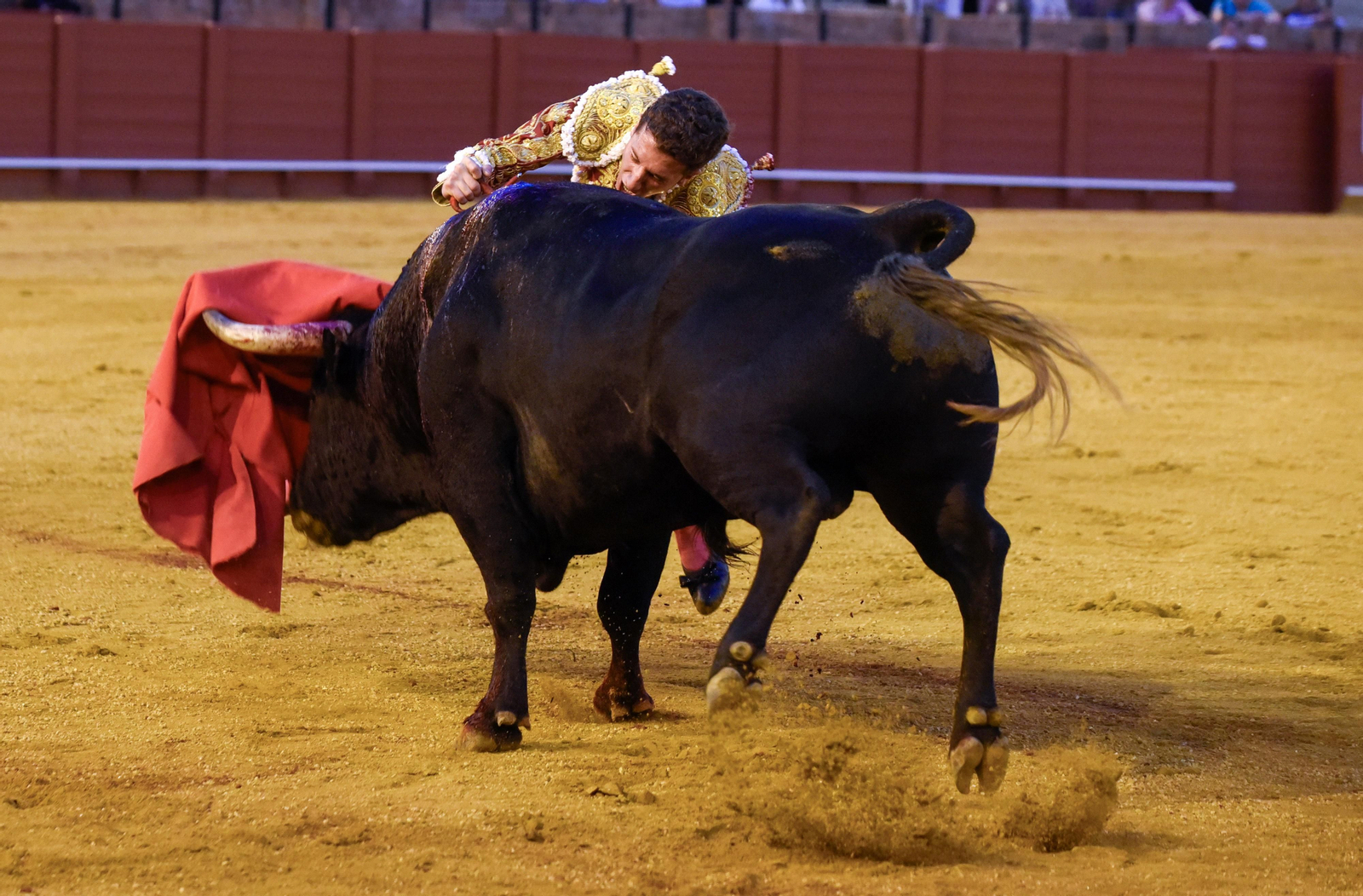 La segunda del abono de la Real Maestranza, en imágenes
