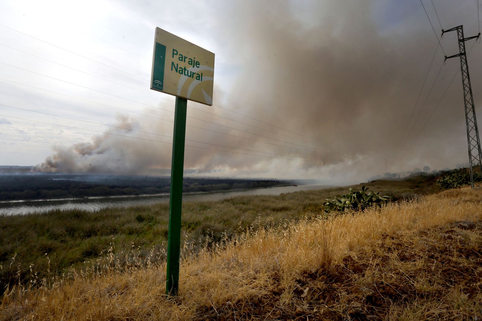 Imágenes del incendio declarado en marismas del Odiel