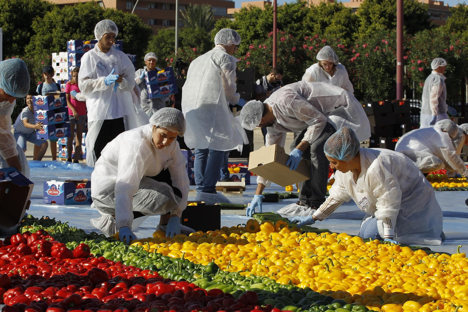 Fotogalería Récord Guinness Corazón Hortalizas Almería