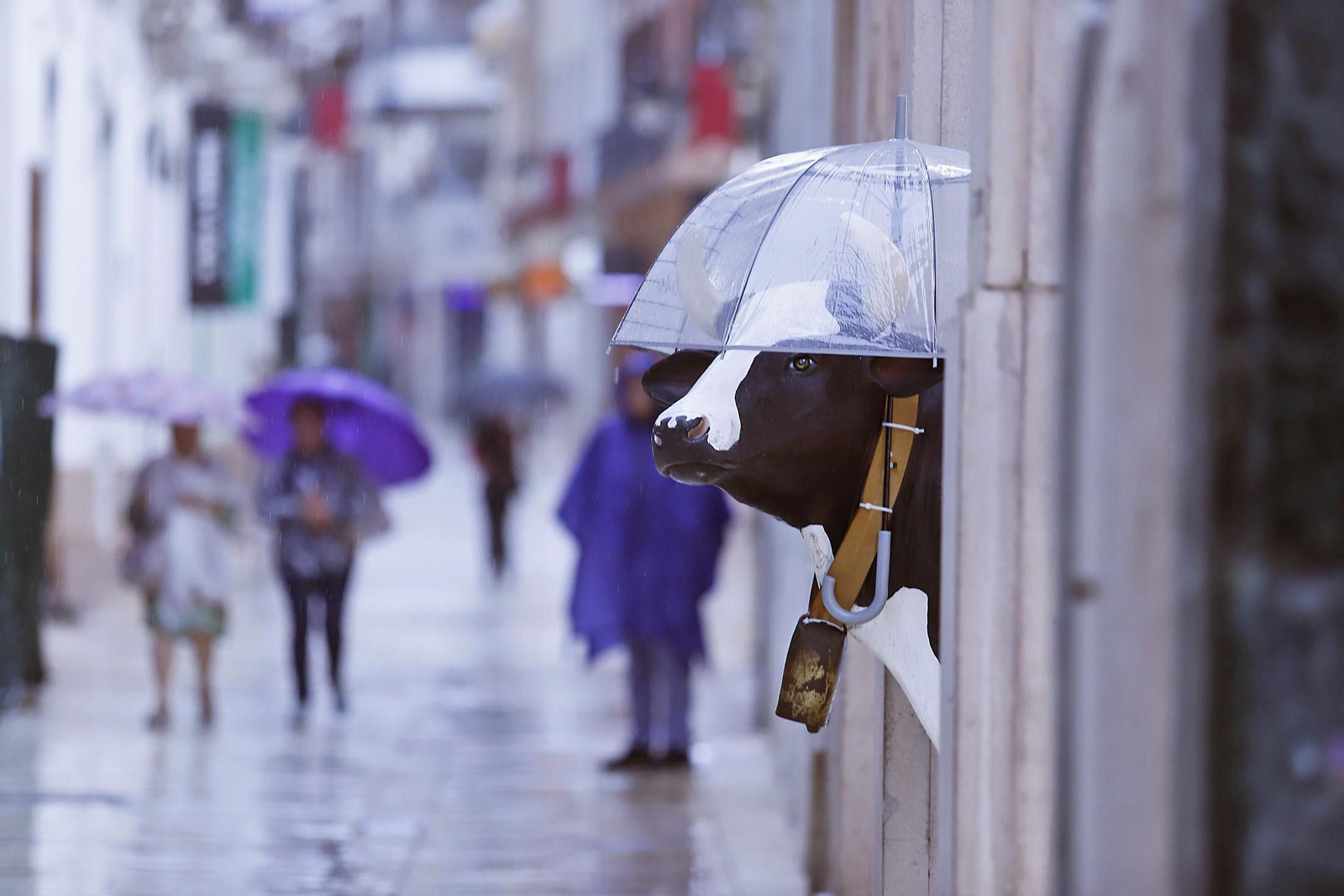 Imágenes de la mañana lluviosa de domingo en Huelva