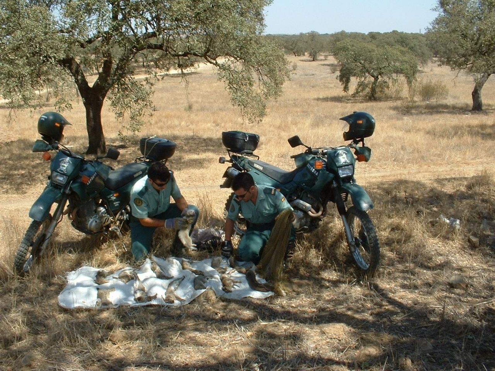 Acción del Seprona contra el furtivismo en Cartaya.