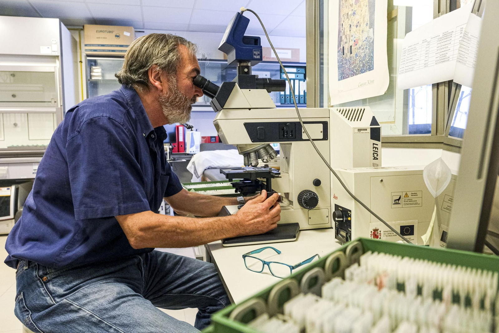El neurocientífico Salvador Martínez, científico principal del estudio.