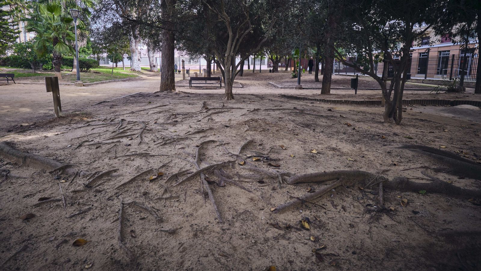 Parque Arqueológico Kotinoussa.