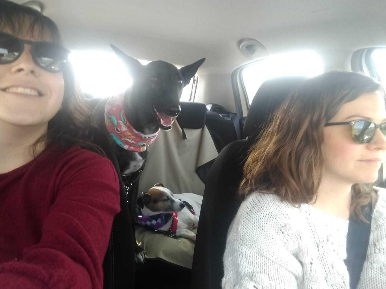 Gloria Molina y María Roldán junto a Monet y Renoir.