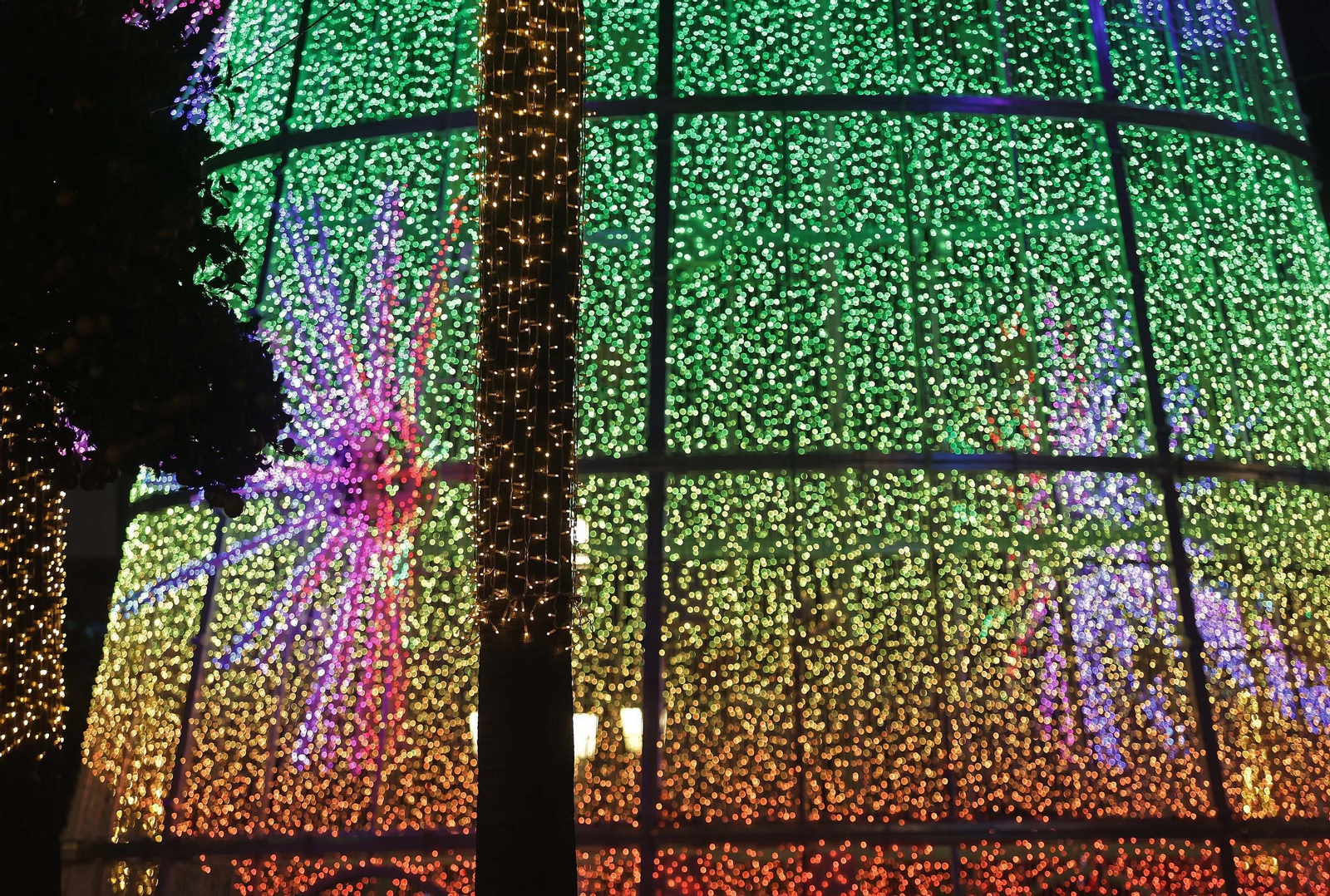 El encendido del alumbrado navideño de Algeciras, en imágenes