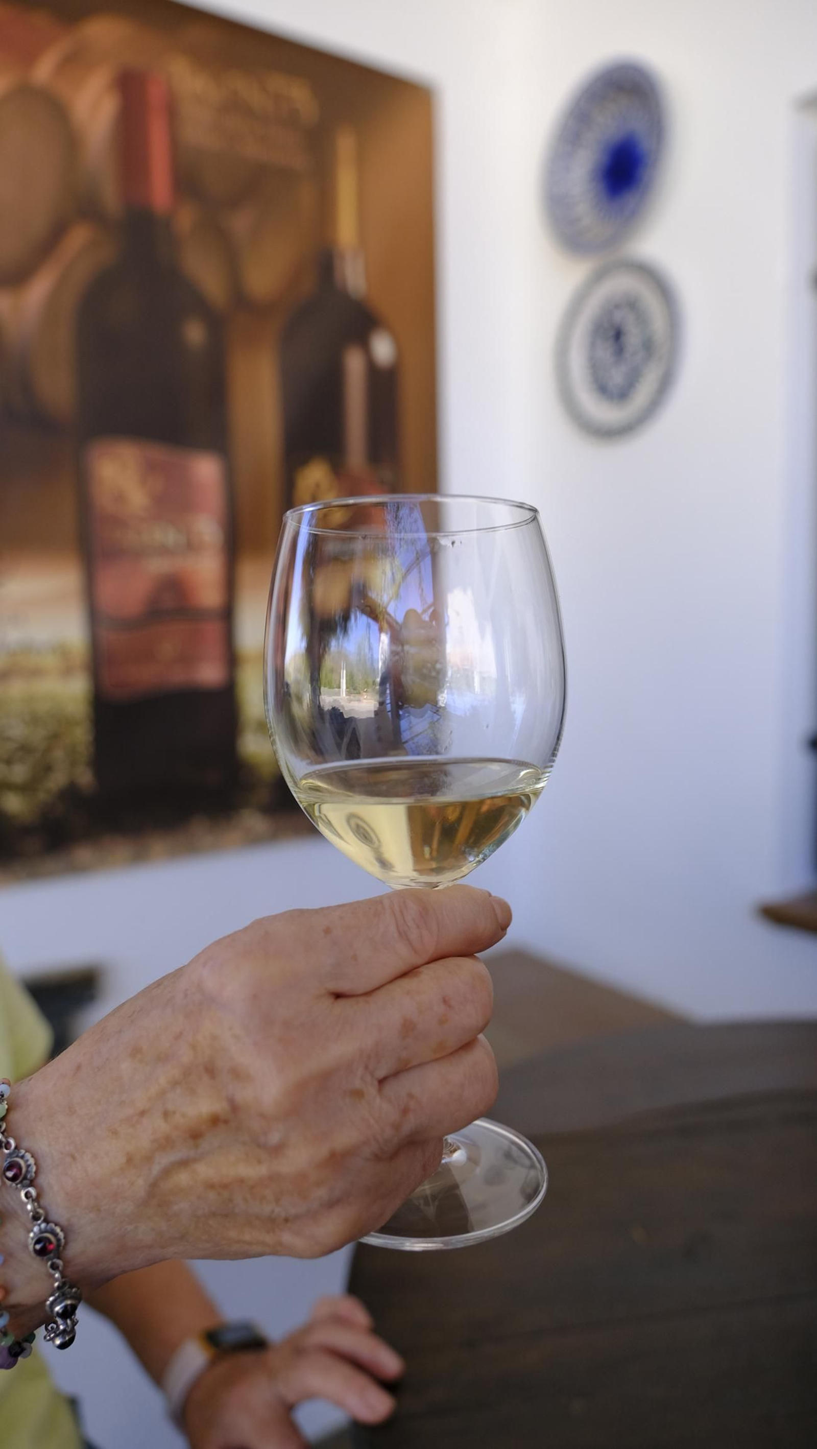 Las imágenes de la vendimia en la zona de Laujar de Andarax