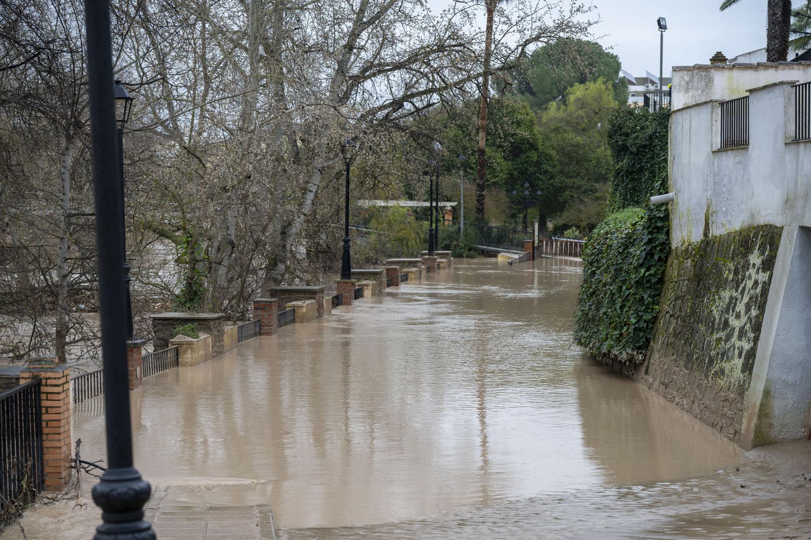 Inundación en Villanueva de la Reina, Jaén.