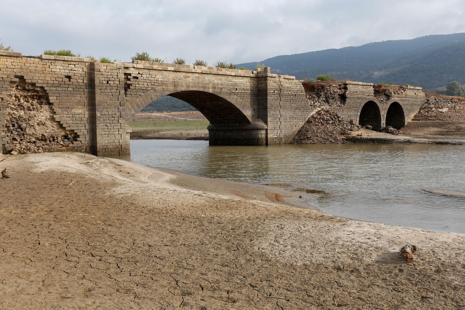 Fotos del estado del pantano de Charco Redondo en Los Barrios