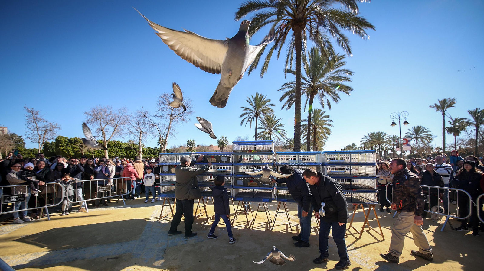 Imagen de una pasada edición de San Antón en Jerez.