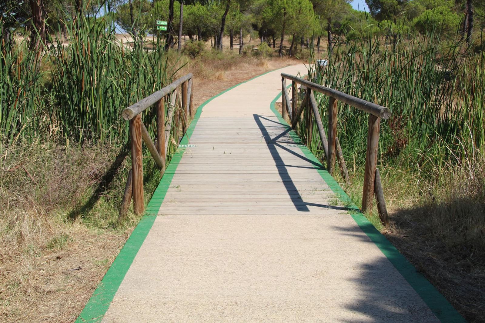Ruta circular del parque 'El Camaleón'