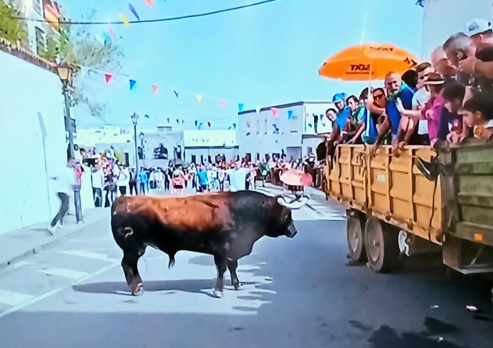 Imágenes de la fiesta del Toro Embolao en Vejer