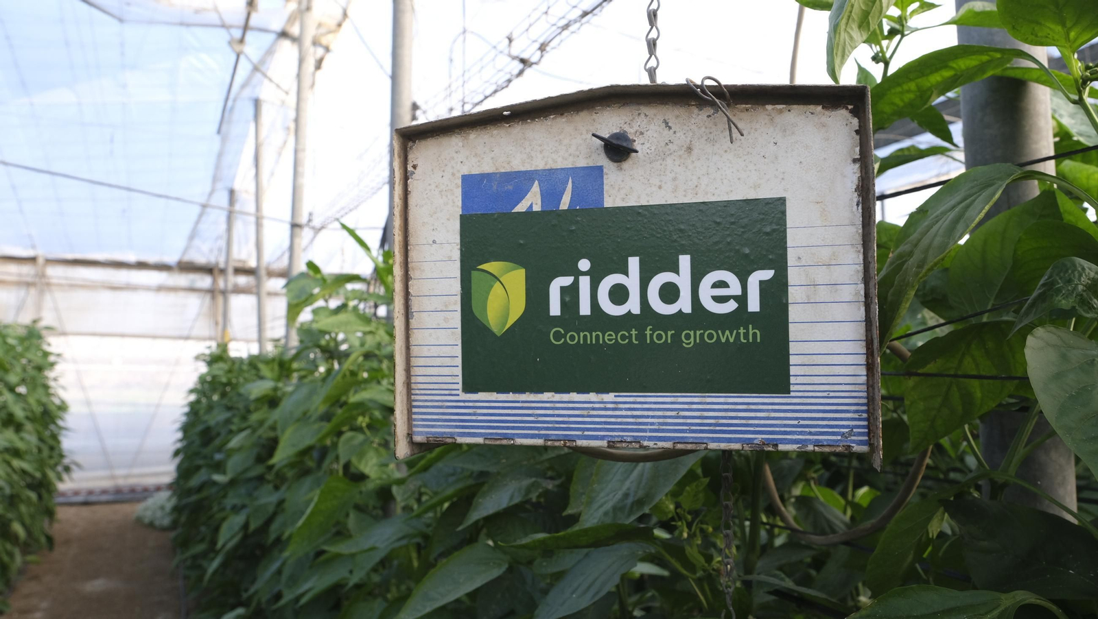 Jornada de puertas abiertas en la Estación Experimental Cajamar Las Palmerillas, en fotos