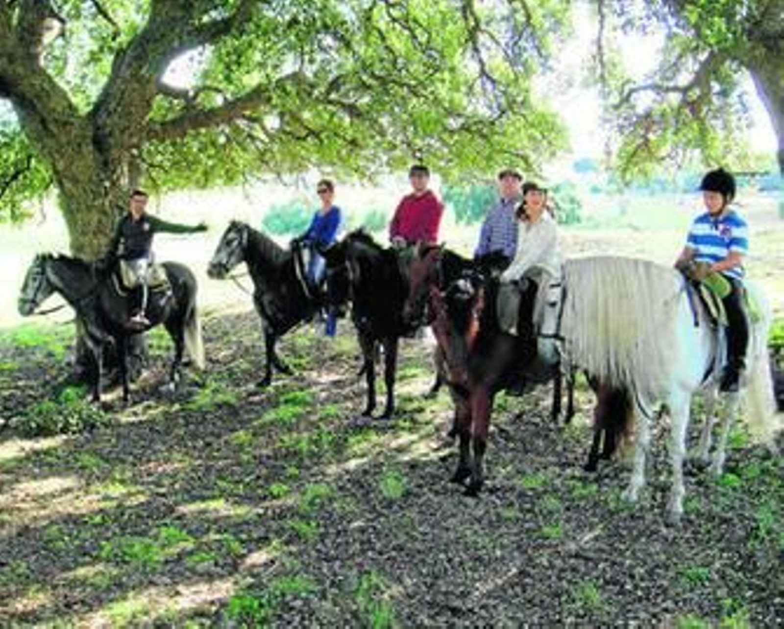 Clientes de la empresa de turismo rural de David Ledesma en una ruta a caballo en Los Alcornocales, en imagen reciente. Clientes de la empresa de turismo rural de David Ledesma en una ruta a caballo en Los Alcornocales, en imagen reciente.