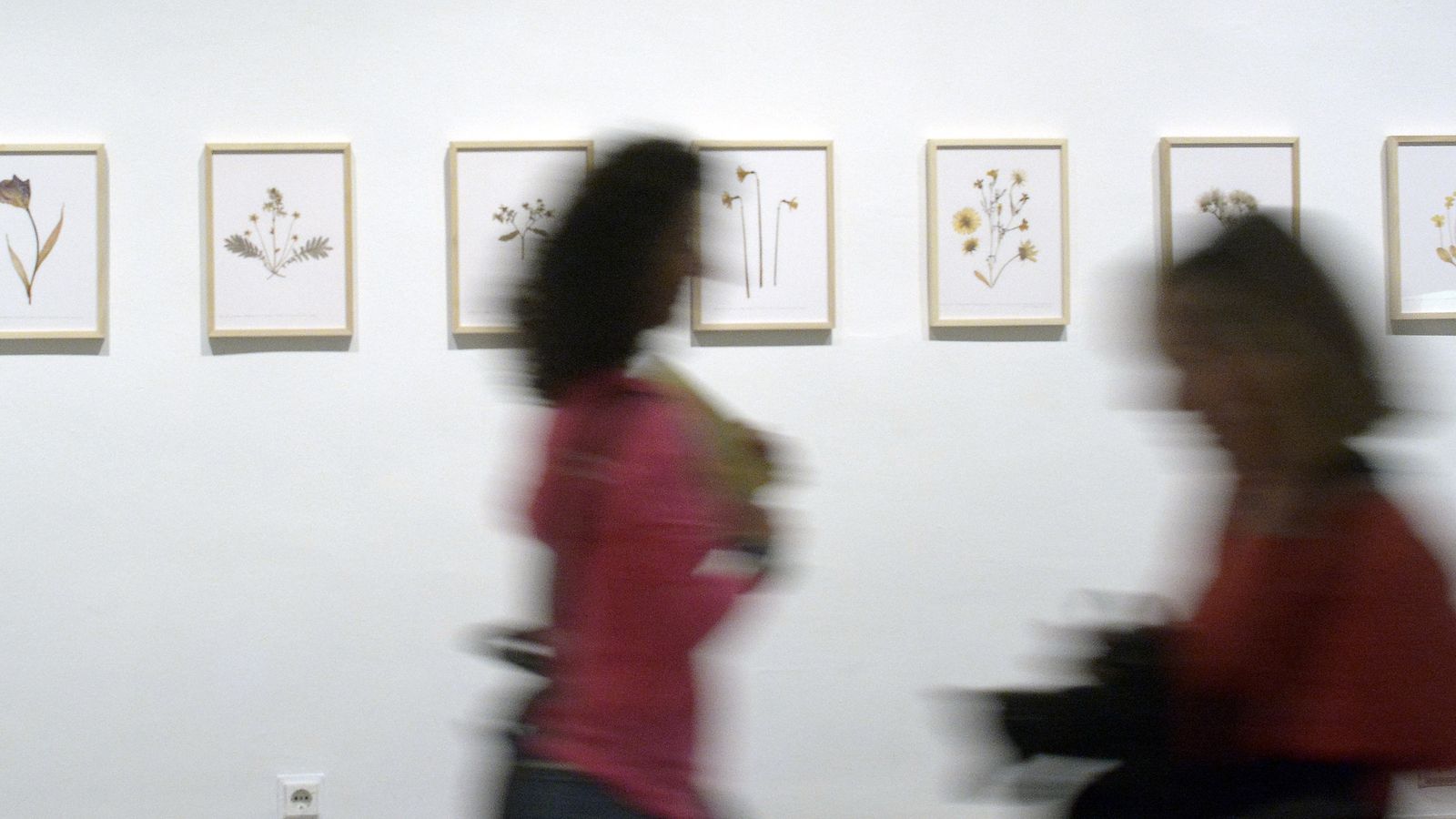 Imagen de archivo de una exposición en el CAAC.