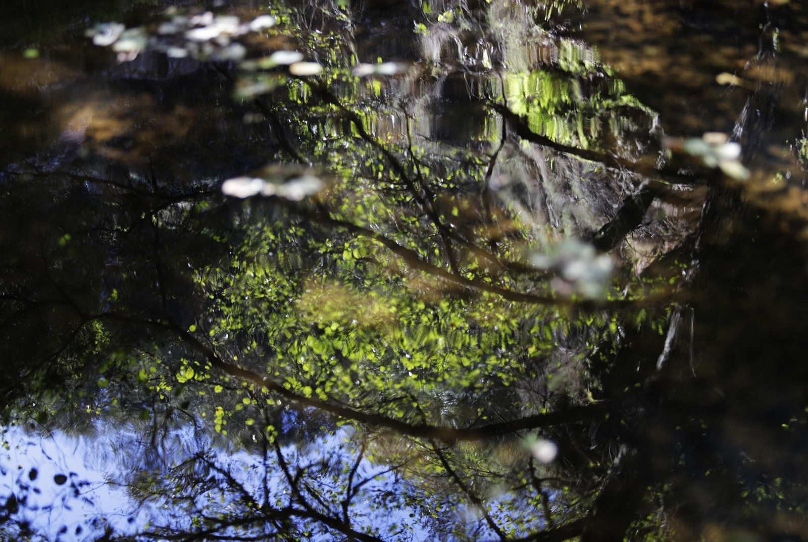 Ruta de Senderismo Charco Malo