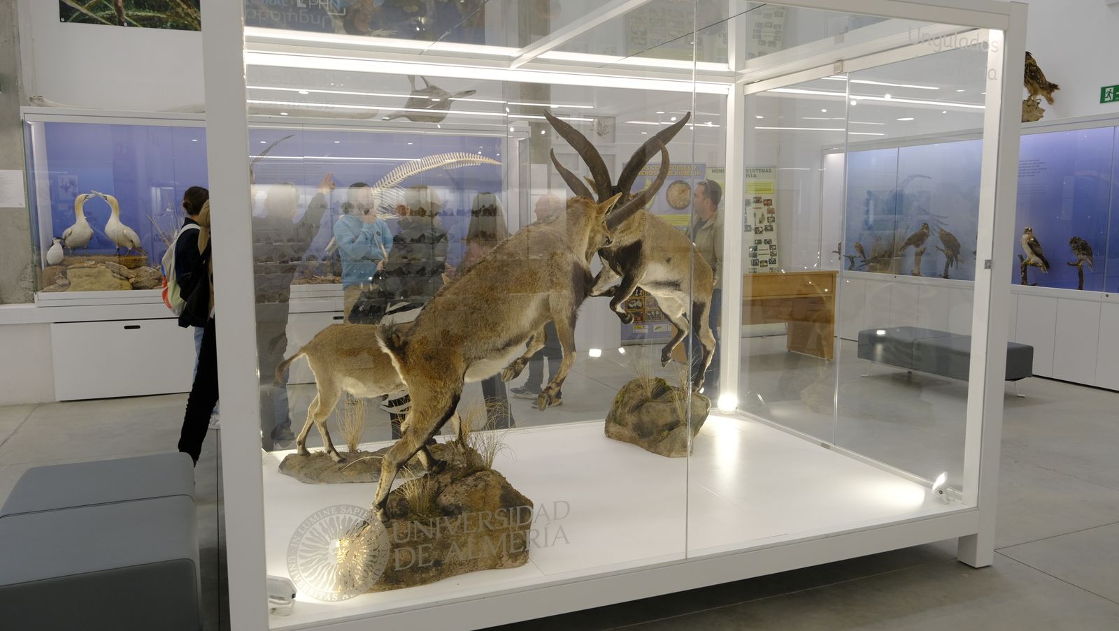 Las mejores imágenes del Pabellón de Historia Natural de la UAL