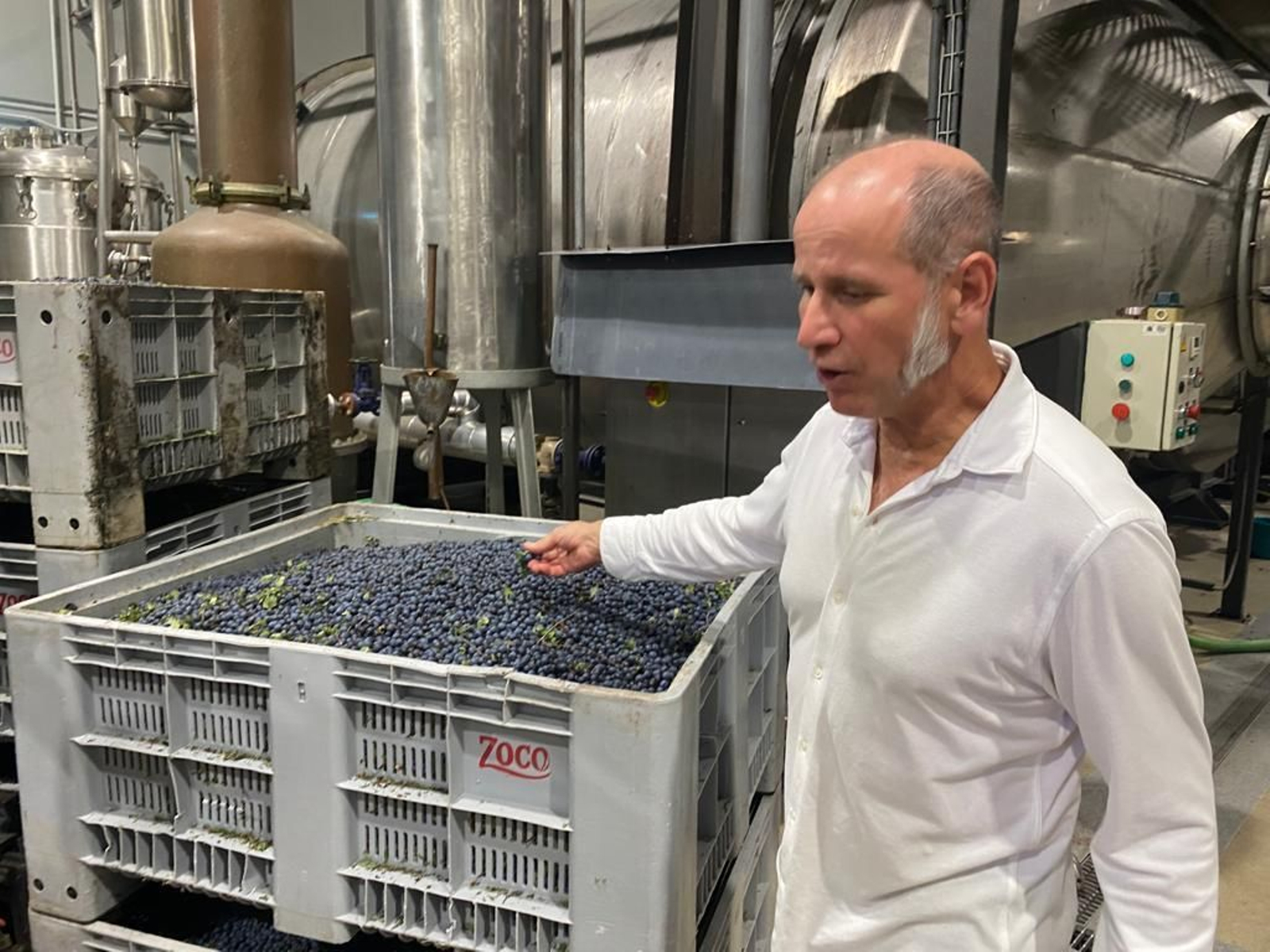 Adrían Subía, presidente del organismo de denominación de origen del pacharán, con endrinas de la destilería Zoco