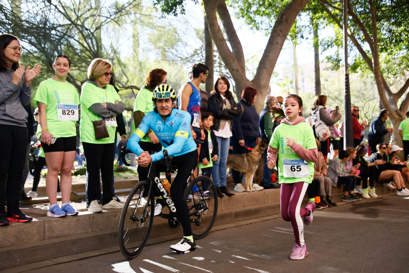 Imágenes de la Carrera contra el Cáncer de Almería
