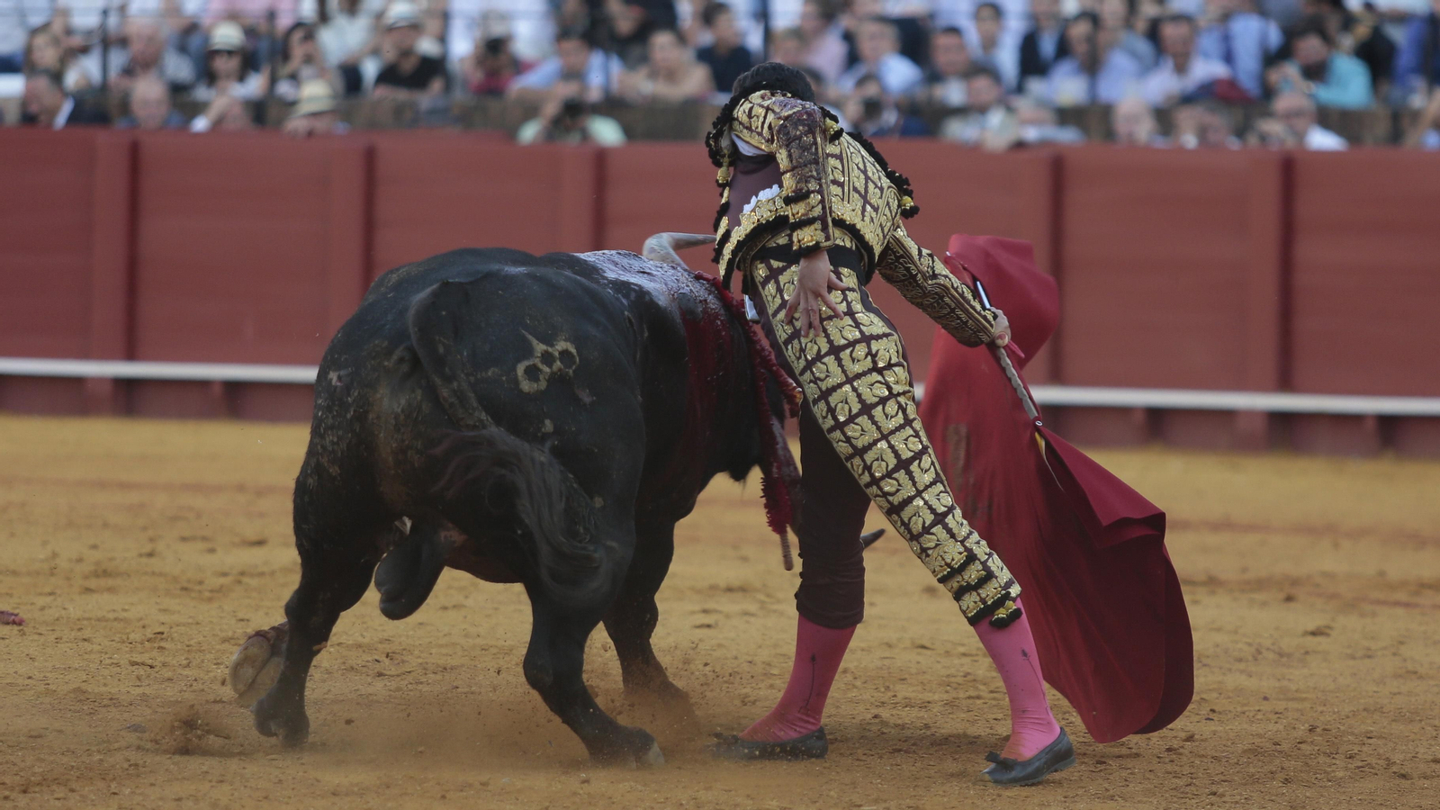 Las imágenes de la corrida de Los Miura