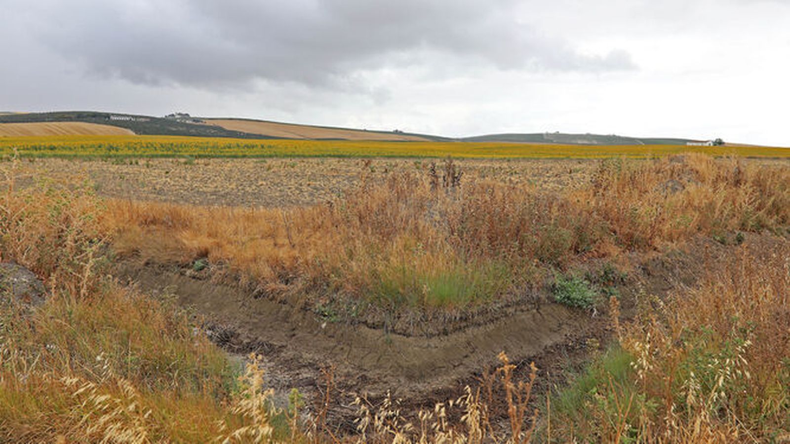 Terrenos donde se construirá un parque fotovoltaico en las cercanías de Mesas de Asta.