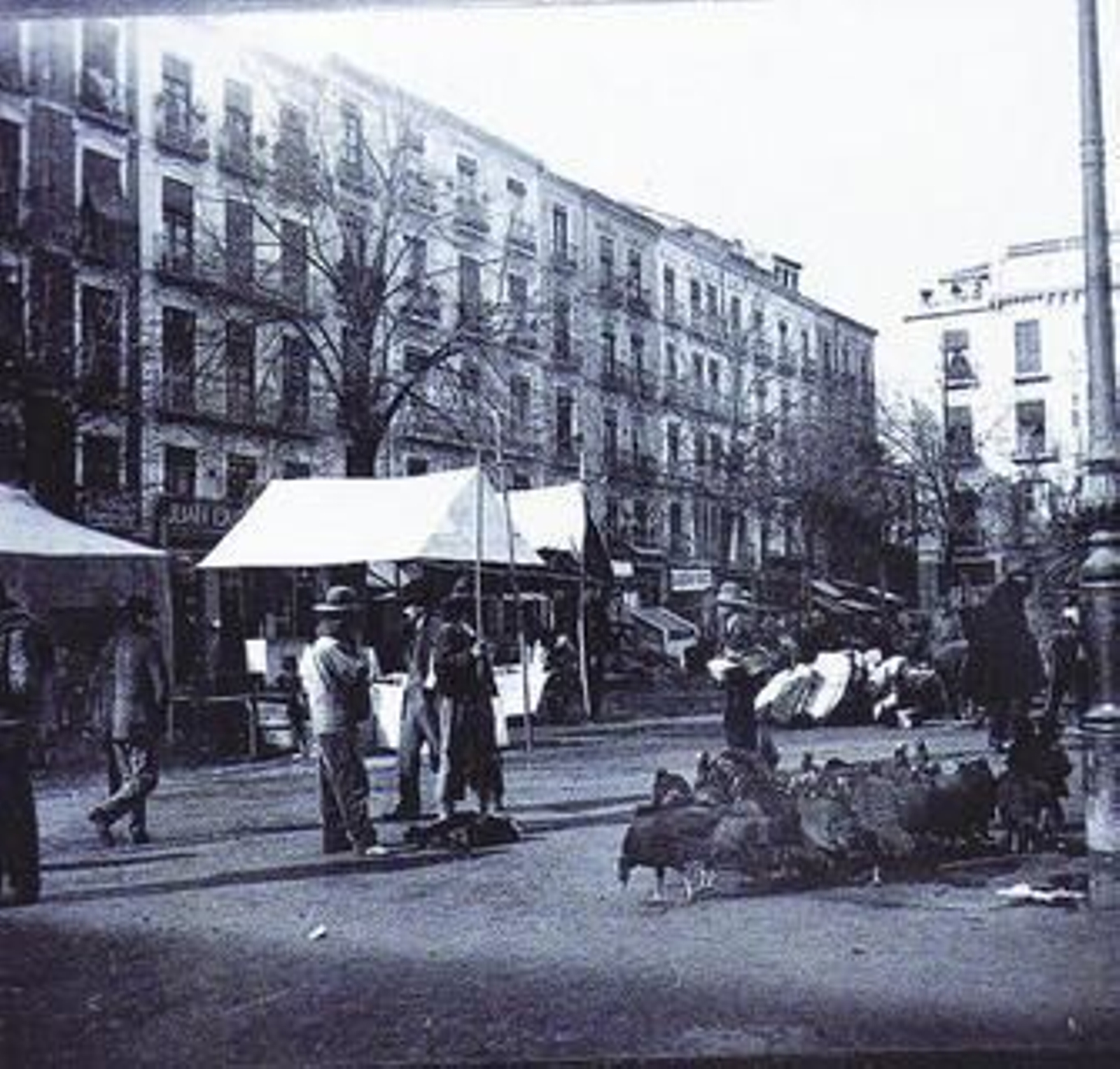 1. Mercado de pavos en Plaza Bibarrambla. 2. Obra del pintor granadino Nono Carrillo con la que se ilustró la portada de la Revista Granada Gráfica de 1959. 3. Un antiguo puesto de venta de zambombas. /Rpo. Gráfico: José Luis Delgado