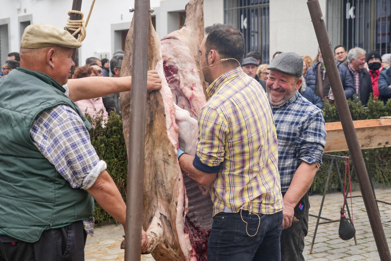 La Fiesta de la Matanza de Alcaracejos, en imágenes