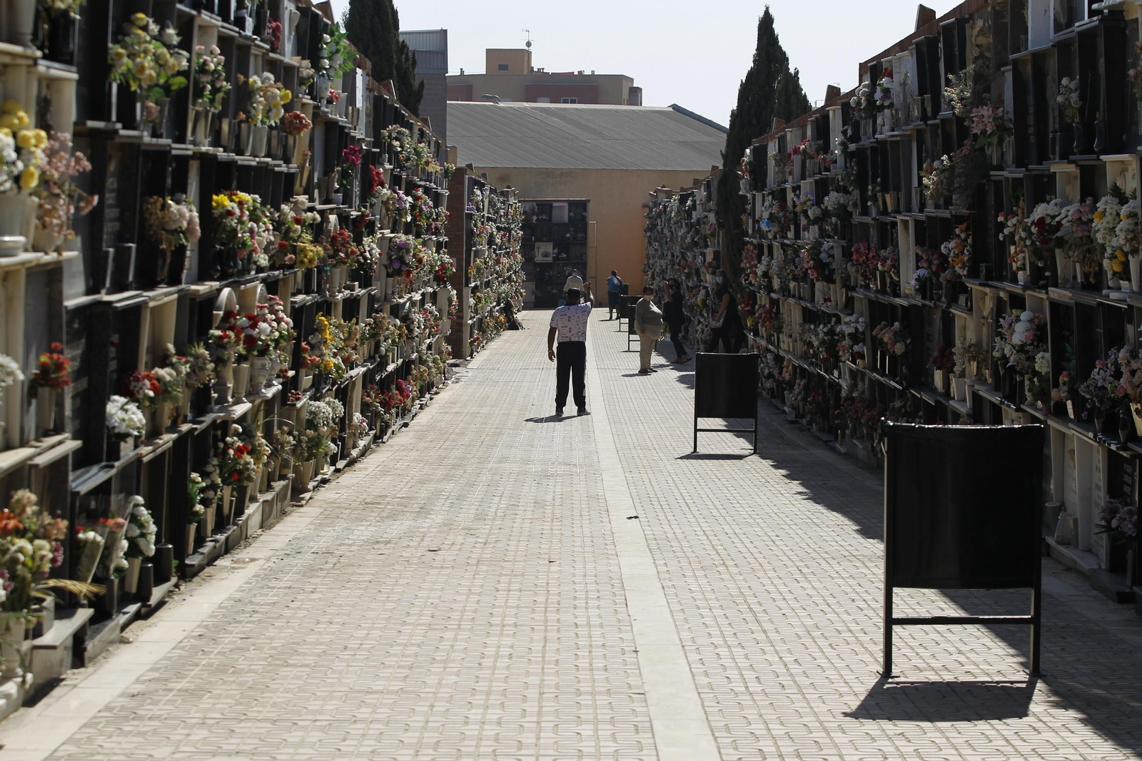 Fotogalería Día de Todos los Santos. Cementerio de San José. Almería