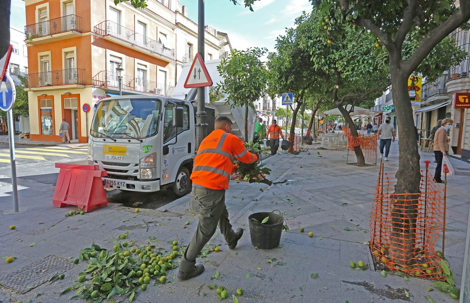 Parón en la obras de la  Calle Cerrón y Santa María y poda en Corredera