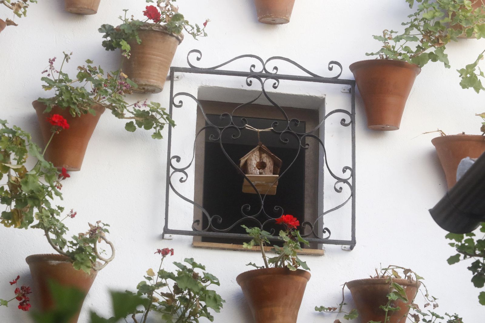 Los Patios en otoño, en fotografías