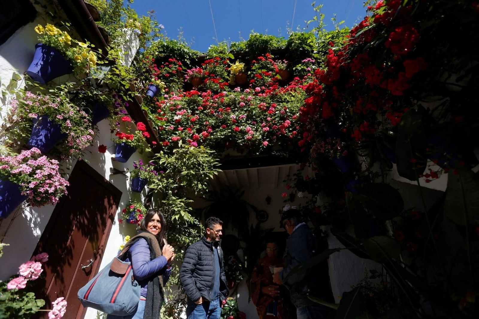 Las mejores imágenes del primer día de Patios en Córdoba