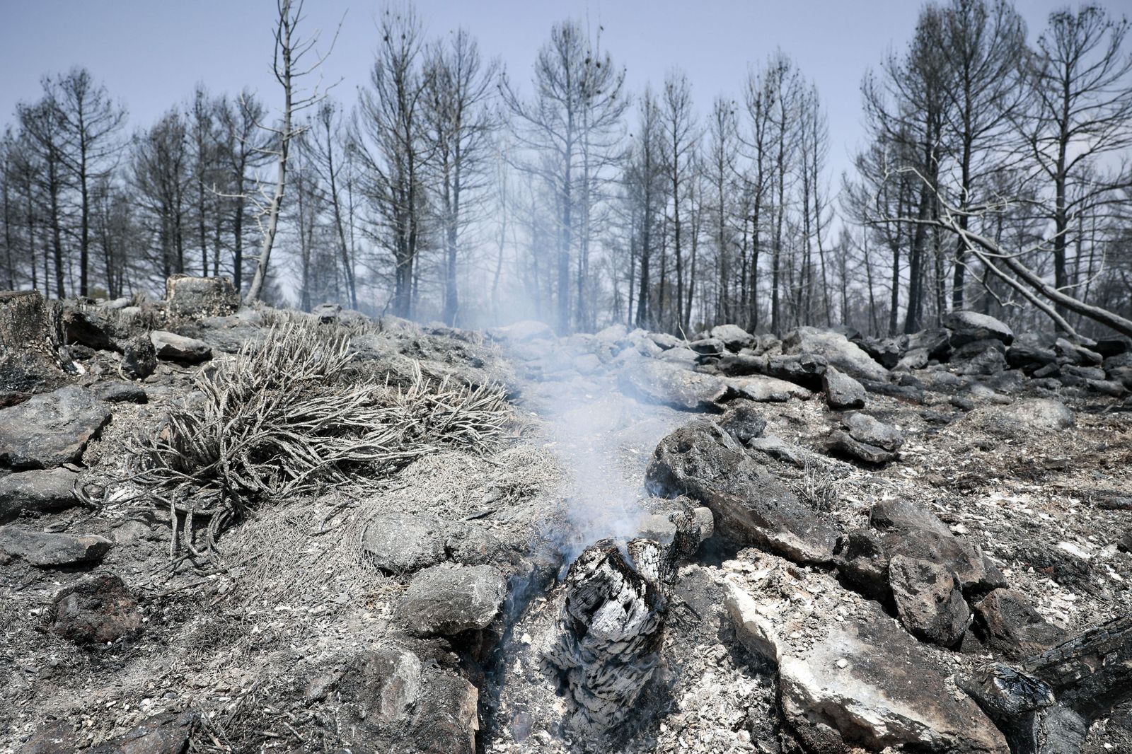 Incendio forestal en Venta del Moro, en el límite entre Valencia y Cuenca.