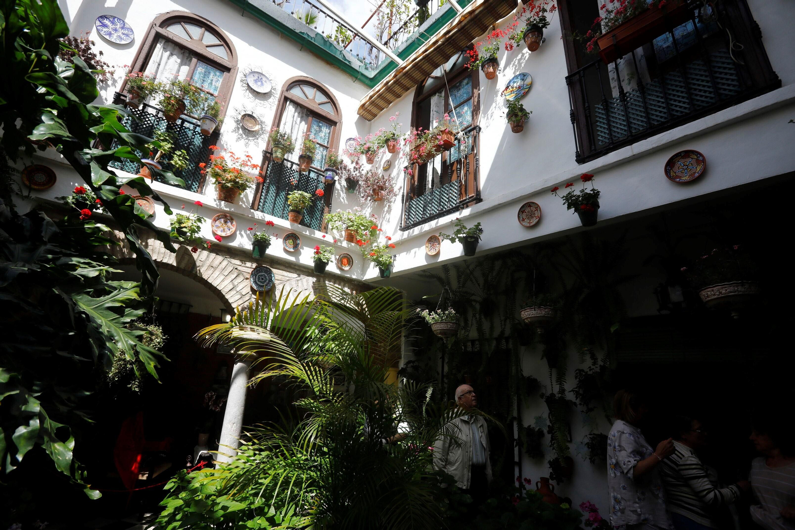 Los patios de Córdoba de la ruta Judería-San Francisco, en imágenes