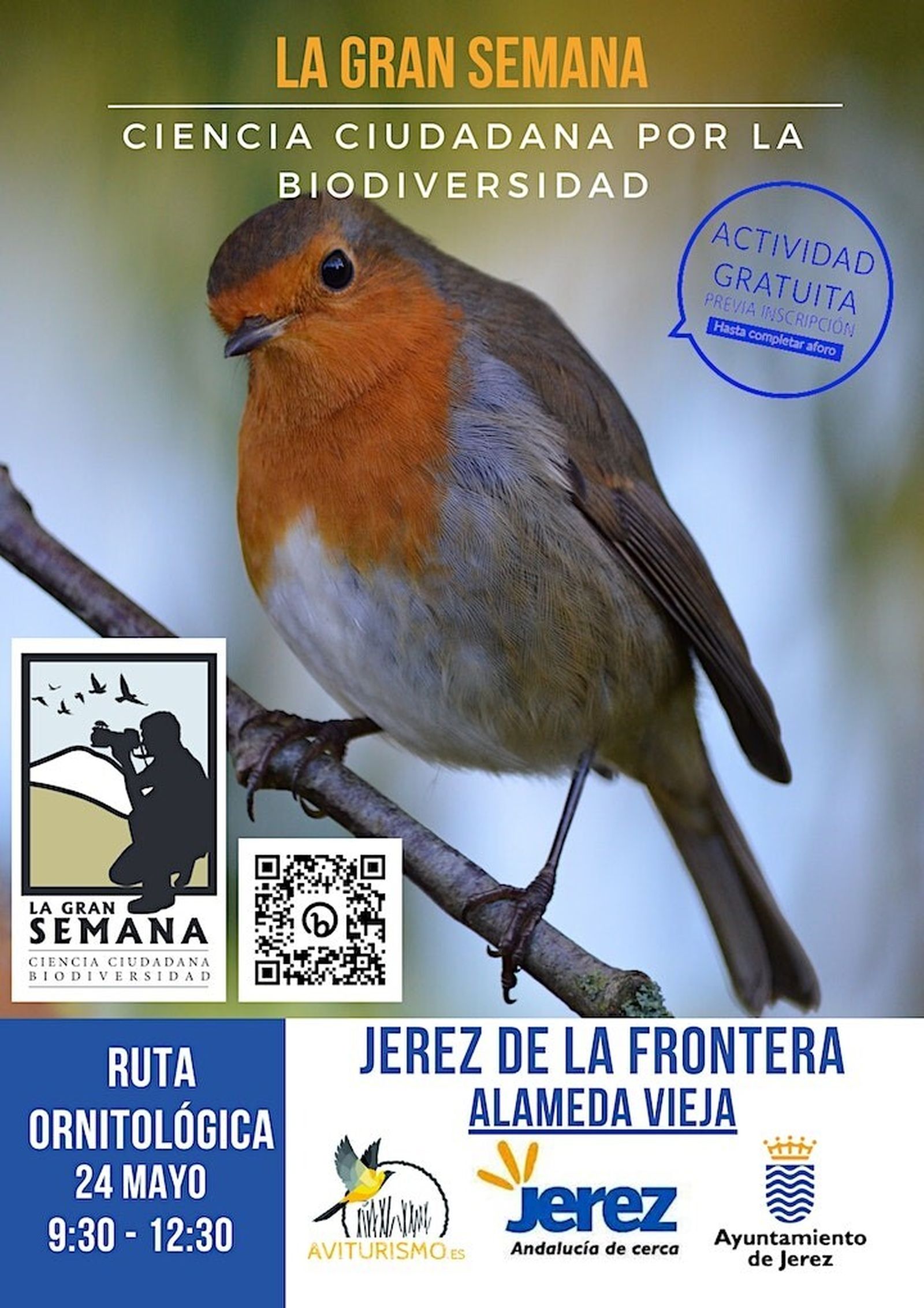 Catel de la actividad-