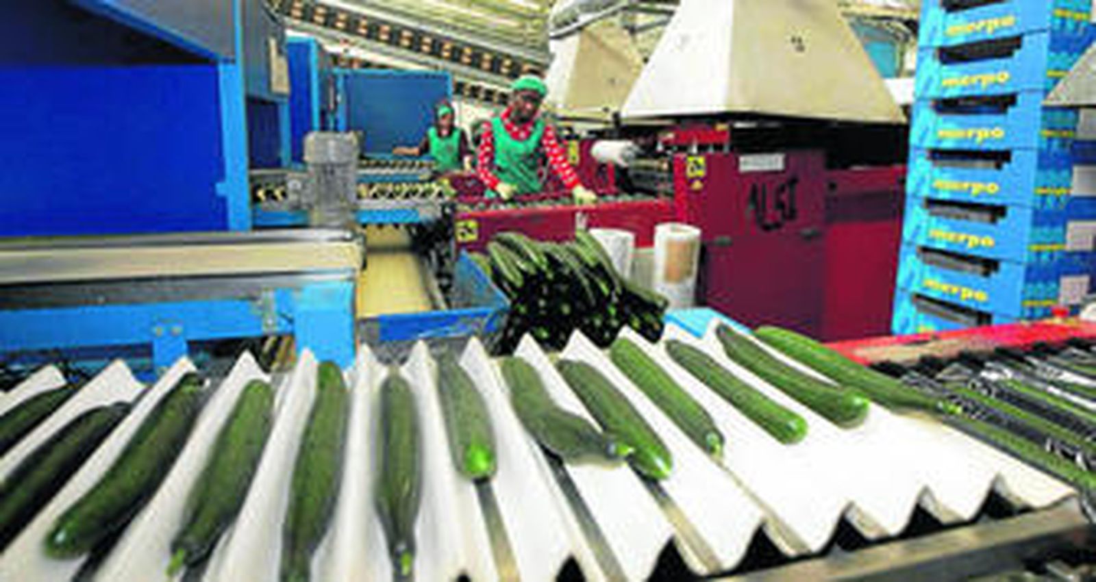 Alhóndiga La Unión posee un potente modelo de comercialización a través de subasta en La Redonda.