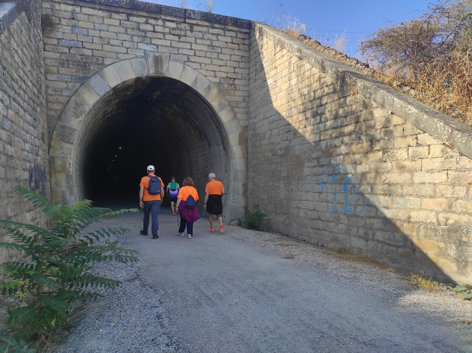 De Torredelcampo a Porcuna por la Vía Verde del Aceite: túneles, pasarelas y arte