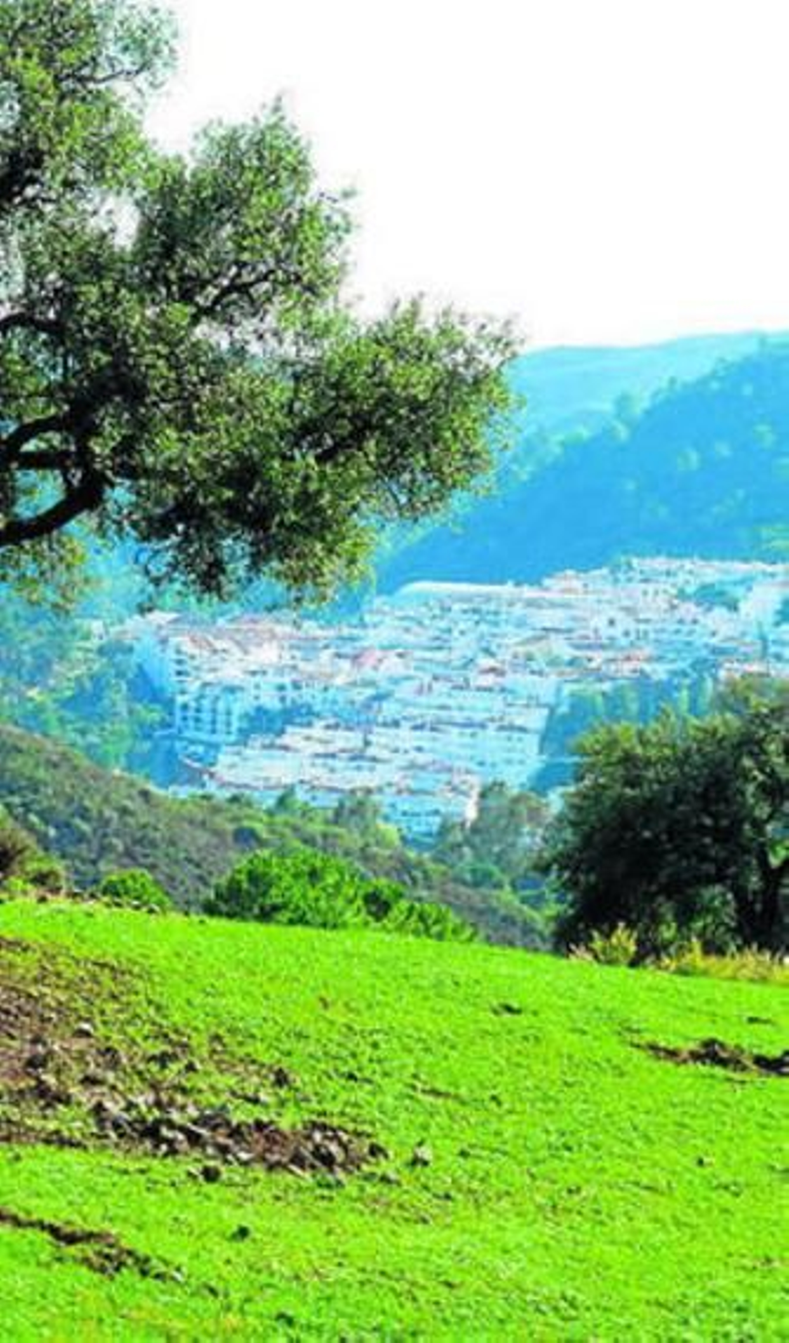 Vista de Benahavís.