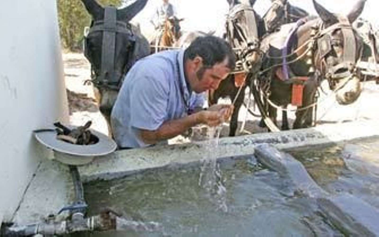 Comienza el tranquilo regreso a Jerez