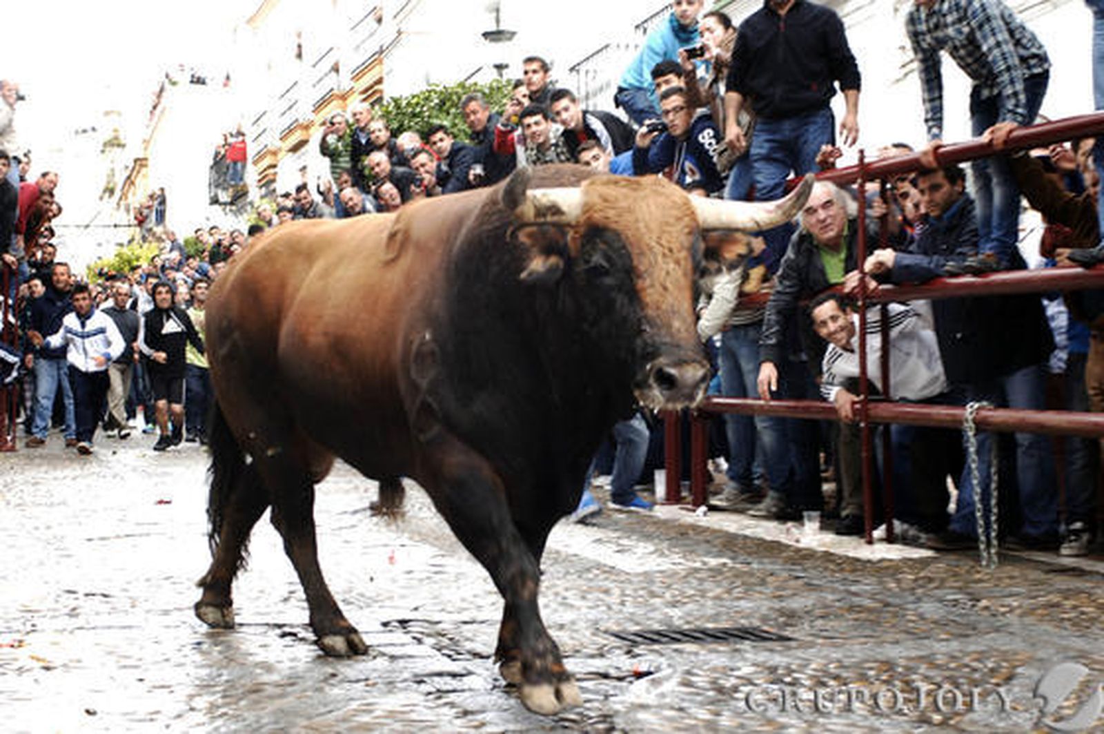 Arcos

Foto: Ramón Aguilar