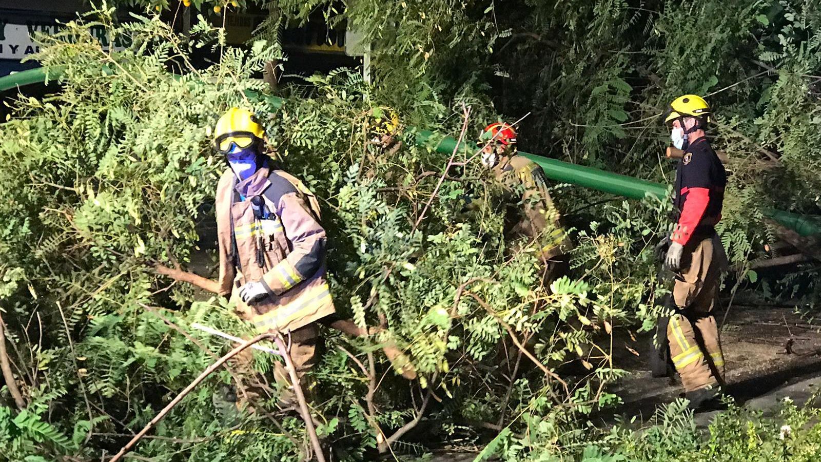 Un momento de la intervención de los Bomberos, donde se ve la farola caída.