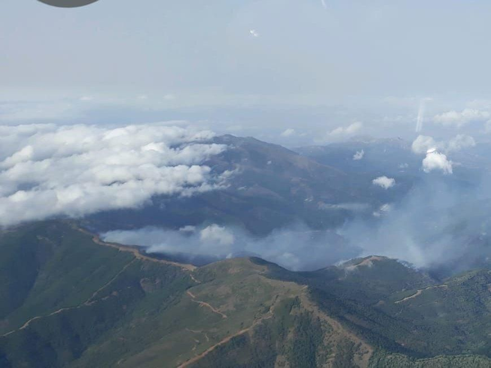 El incendio forestal de Jubrique, el primero del verano en Málaga, en fotos