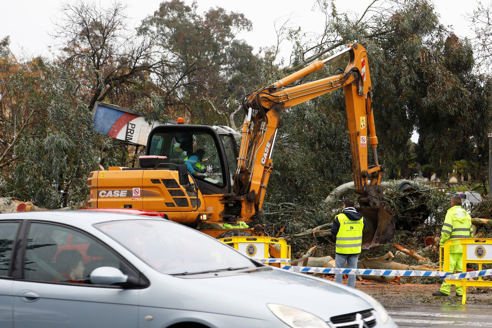 Los daños del último temporal que ha pasado por Córdoba, en imágenes