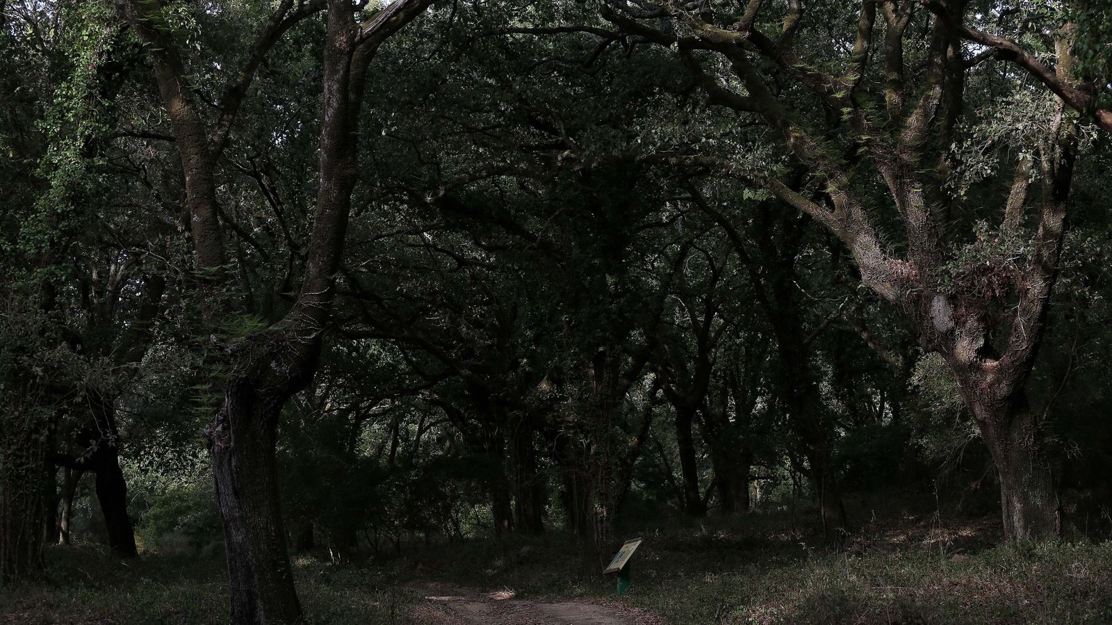 Las mejores fotos de San Carlos del Tiradero