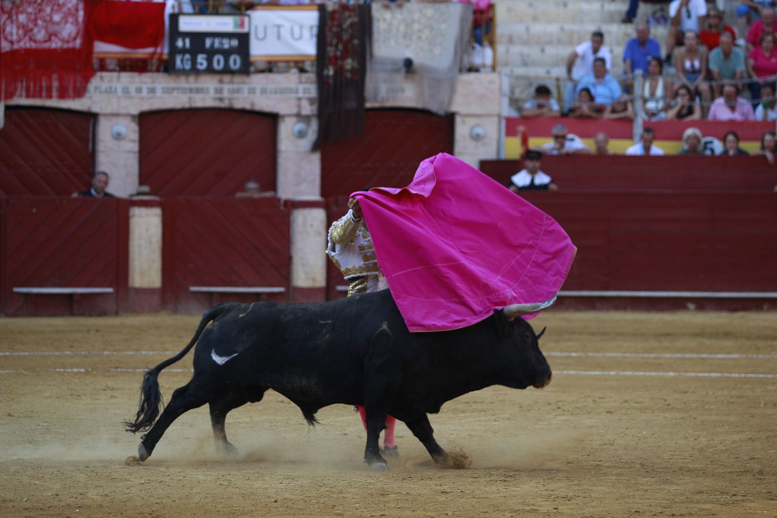 Imágenes de la corrida de toros del jueves en la Feria de Almería 2024