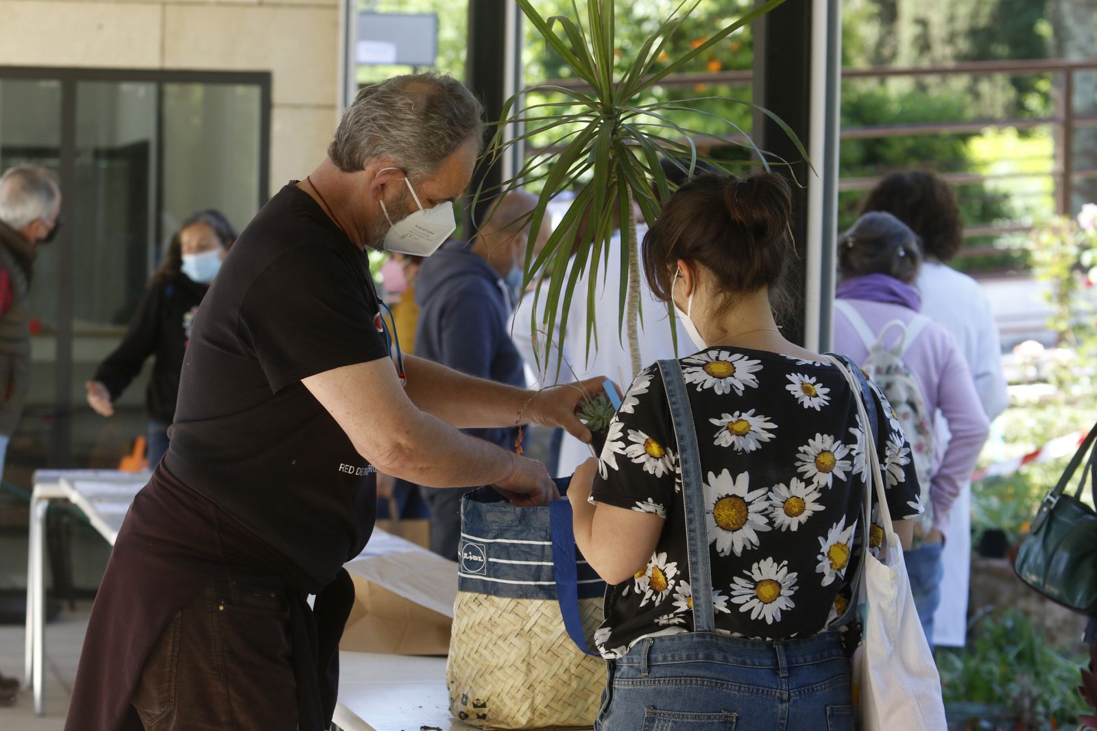 El Mercado de trueque de plantas del Jardín Botánico de Córdoba, en imágenes