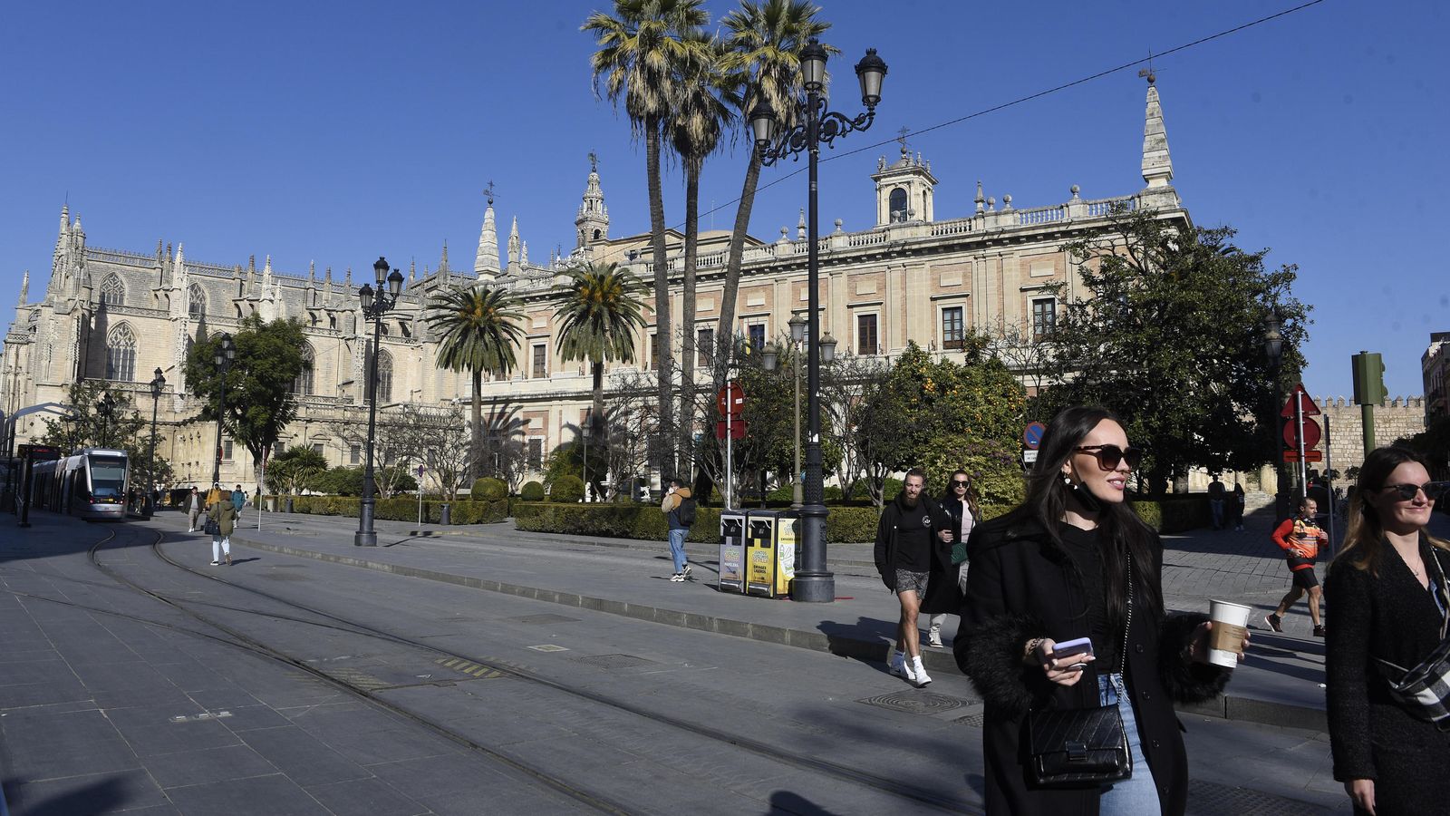 Las jacarandas serán plantadas frente al Archivo de Indias, a la altura de la parada del Metrocentro.