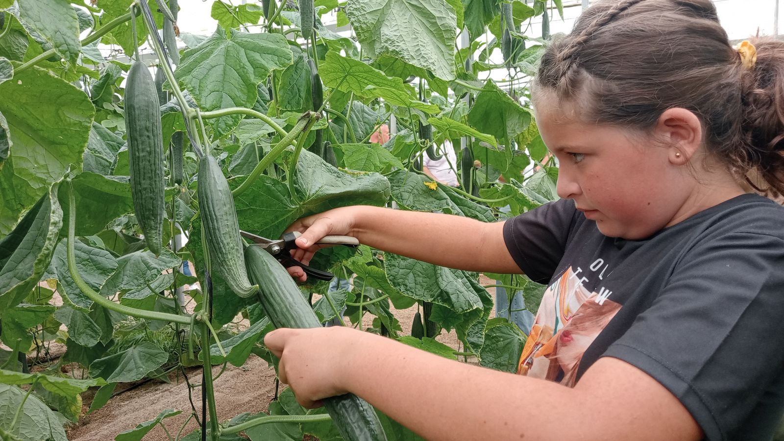 Trabajo en equipo para reforzar su importancia.